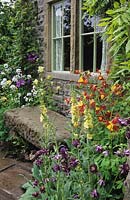 Chelsea FS 2003 Design Julian Dowle Mixed Aquilegia McKana Hybrids group Verbascum Stone bench