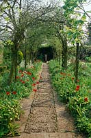 Barnsley House. Gloucesteshire. The laburnum tunnel in Spring with red tulips either side of stone and cobble  path. View throug