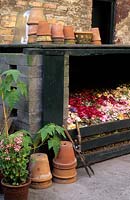 The Dillon Garden Dublin compost bin with fresh layer of petals