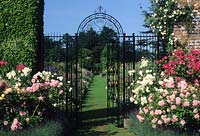 Helmingham Hall Suffolk wrought iron gates with roses leading to walled garden with double herbaceous borders and grass path