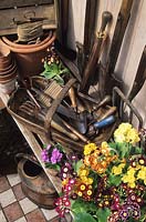 Fairfield Surrey potting shed with tools and auricula primulas