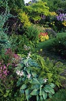 Eastgrove Cottage garden Worcestershire Mixed summer borders with Hostas Astilbie Robinia pseudoacacia Frisia