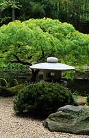 Hume Japanese Stroll Garden Hempstead CT Pinus mugo Pumilo Acer palmatum Dissectum Wind temple statue rocks summer May garden