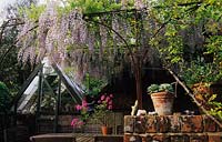 Park Terrace Sussex Wisteria hanging over table eating area