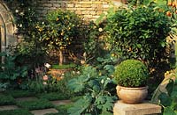 Chelsea FS 1998 Design Bunny Guinness The Herbalist s Garden Boxwood sphere in pot with nectarine in large container thyme squar