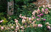Hadspen House garden Somerset rose Rosa Fritz Nobis poppy allium