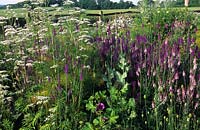 private garden Sussex Linaria purpurea and Canon J Went Valeriana officinalis