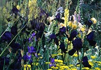 Chelsea FS 1999 design Cherida Seago Iris Deep Black Achillea Moonshine Verbascum Gainsborough Stipa gigantea