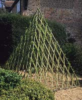 private garden Hampshire living willow pyramid sculpture by Barbara Hunt