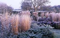 private garden Sussex design Fiona Lawrenson grasses and perennials in winter frost January