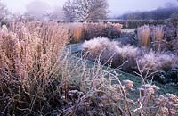 private garden Sussex design Fiona Lawrenson grasses and perennials in winter frost January