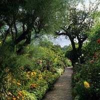 Giverny France Monet's garden path lined with annuals African Marigolds salvias Tamarix tree