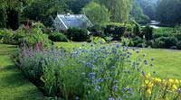 Vale End Surrey love in a mist Nigella damascena