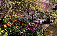 Parham Sussex walled garden with wooden bench Tulips tulipa Jan Reus and tulipa Annie Schilder