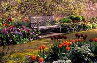 Parham Sussex walled garden with wooden bench Tulips tulipa Jan Reus and tulipa Annie Schilder with Bergenia purpurea Brunnera