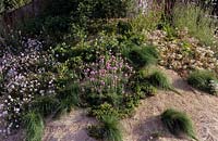 Hampton Court Palace Flower Show 2010 cornish wild flower sand dune garden plant combination