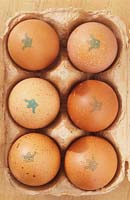 Clarence Court free range organic egg Burford Brown whole egg in eggbox