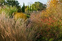 Marchants Sussex early autumn fall borders perennials ornamental grasses September morning garden plant combination Saponaria