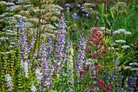 Mixed border perennials