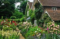 Frith Lodge Sussex Path through Rose garden at front of house Rosa Felicia and Frensham Sisyrinchium striatum Lavender summer Ju