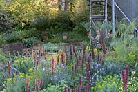 The Resilience Garden at RHS Chelsea Flower Show 2019. Border planting includes: Echium, Euphorbia and Linum perenne – Designer: Sarah Eberle - Sponsor: Greenfingers Charity