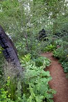  The M and G Garden, woodland landscape burnt timber sculptures representing natural rock formations. Trees and ferns and primordial Equisetum and Restios. Gravel paths wind through the predominantly green planting. Designer: Andy Sturgeon. Built by Crocus. Sponsored by M and G Investments