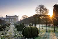 The Thyme Walk with Golden Yew Topiary, Highgrove Garden in March, 2019.
