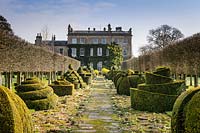 The Thyme Walk with Golden Yew Topiary, Highgrove Garden in March, 2019.