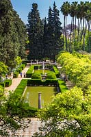 View into the Jardin de los Poetas with its formal ponds and pillars. Planting includes Palms, Citrus x sinensis and Myrtus communis hedging in the Real Alcazar Gardens, Seville.