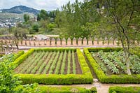 Box-edged - Buxus sempervirens kitchen garden with hillside beyond, The Alhambra, Granada.