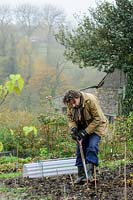 Winter Digging -  Clay soils are improved by action of winter frost, November.