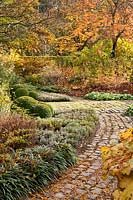 Curved pathway leading through autumn garden with mixed borders 