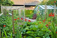 Vegetable garden with greenhouse, fruit cage and plant supports