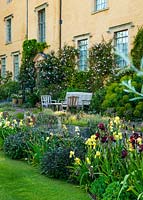 Wooden seats, bench and table on terrace beside the Ablington Manor house - Iris 'Senlac' in border, climbing Roses 'Francois Juranville' and 'Charles Rennie Mackintosh' on house.