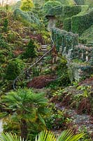 The Fern Dell, featuring Hedera, Trachycarpus fortunei and ferns at Brodsworth Hall, Yorkshire. 