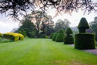 A view of clipped Taxus baccata - Yew - topiary, Askham Hall, near Penrith, Cumbria. 