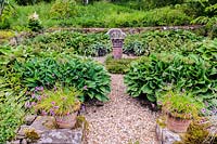 Sunken garden full of hostas at Askham Hall, near Penrith, Cumbria, UK. 