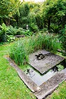 Small formal pond in with ferns, hostas, grasses and rushes. 