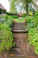 Steps lead between beds planted with box, hardy geraniums, Thalictrum aquilegiifolium, rosemary and alliums. Terstan, Stockbridge, Hants, UK