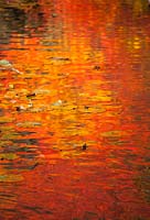 Close up of reflections on water surface. 