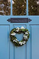 Galanthus, Hedera and moss heart-shaped wreath on blue front door.