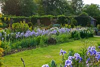 Grass and border with white lupins and Blue Iris, Oxfordshire.