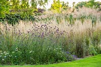 View of perennial border in late summer.