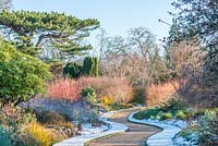 Winter Garden, Cambridge Botanic Gardens. 