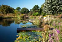 View of natural swimming pool and wooden jetty at Ellicar Gardens, Nottinghamshire.