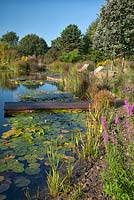 Natural swimming pool at Ellicar Gardens, Nottinghamshire 