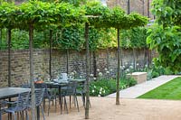 View of patio with dining area, covered with pleached tree canopy.