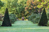 Wide grass allee lined with Yew pyramids, Wiltshire