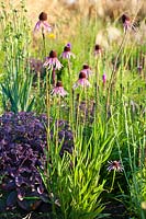 Lianne's Siergrassen, De Wilp. Prairie garden. Design: Lianne Pot