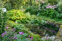 Mixed planting around a pond in NGS garden in St Albans, Hertfordshire, UK.